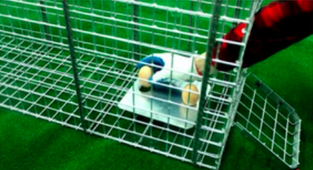 Snímka obrazovky 2025-07-27 o 19.16.29